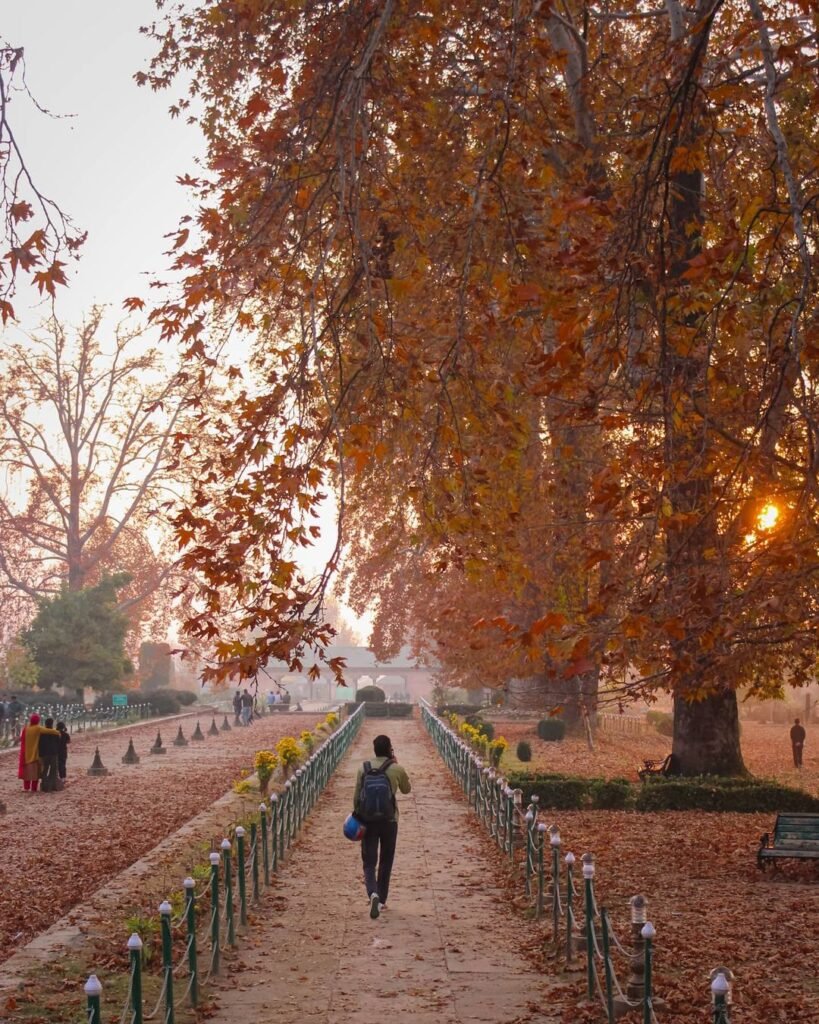 Autumn In Kashmir
